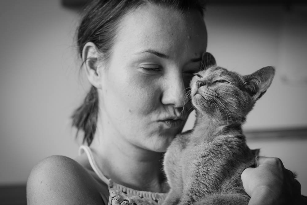 Behawiorysta przytula kota